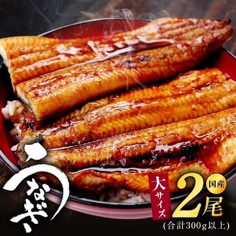 大サイズ 国産うなぎ 2尾 合計300g以上 kgp0038大阪府泉佐野市19000魚介・海産物うなぎ