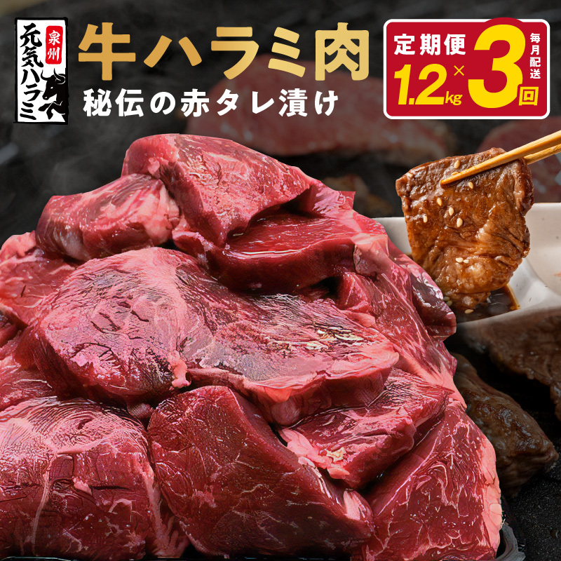 牛ハラミ 定期便 1.2kg 全3回【毎月配送コース 小分け 300g×4 味付き 牛肉 焼くだけ 小分け BBQ やきにく 数量限定】 099Z269大阪府泉佐野市39000肉牛肉