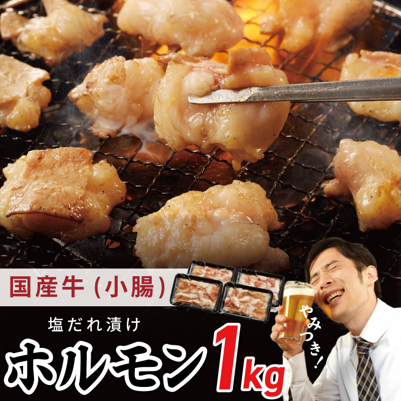 国産 牛肉 ホルモン 1kg 塩だれ漬け 焼肉用 小分け 250g×4P【牛肉 焼肉用 焼くだけ 小分け BBQ やきにく 数量限定】 099H3869大阪府泉佐野市9000肉牛肉