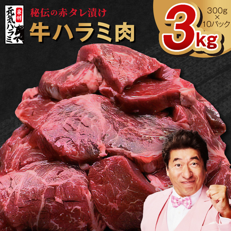 【TVで紹介!】牛ハラミ肉 3kg(300g×10)秘伝の赤タレ漬け 訳あり サイズ不揃い 030D173大阪府泉佐野市29000肉牛肉