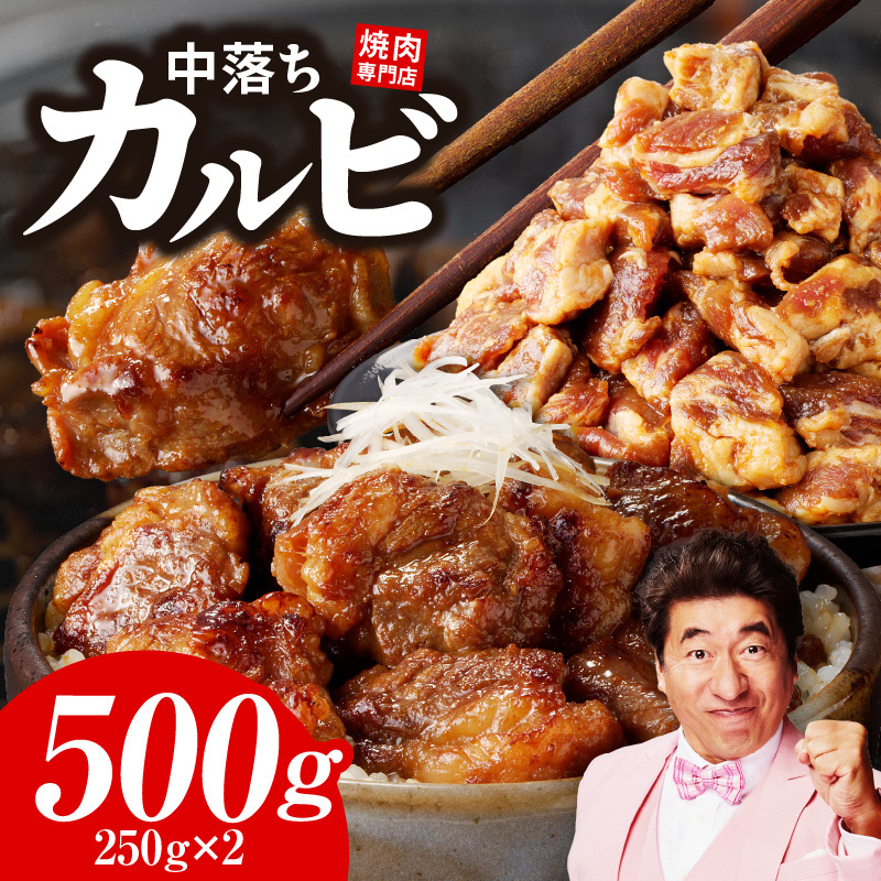 焼き肉専門店 自家製タレ漬け 中落ちカルビ 合計500g(250g×2) 099H3565大阪府泉佐野市9000肉牛肉