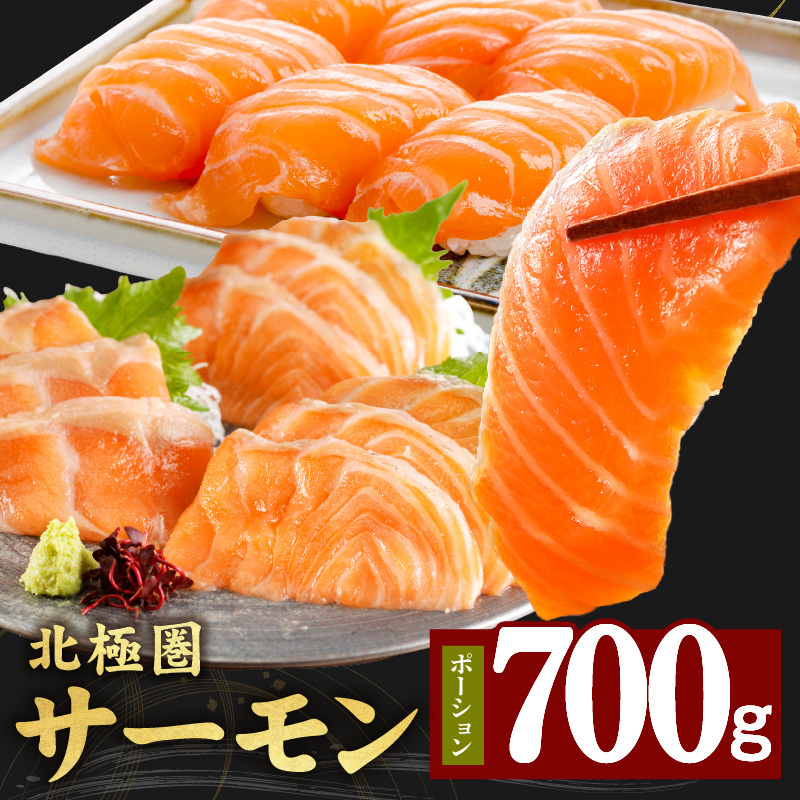 北極圏サーモン ポーション 700g【小分け 350g×2P 海鮮丼 人気 オススメ 小分け 冷凍 簡単調理 一人暮らし 東洋冷蔵】 010B1329大阪府泉佐野市11000魚介・海産物その他 魚介・海産物