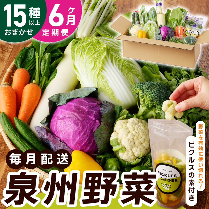 旬の新鮮 野菜セット(15種以上)定期便 全6回 おまかせ ピクルスの素付き ファミリー向け いずみピクルス NSW【毎月配送コース】 099Z280大阪府泉佐野市66000野菜・きのこその他 野菜