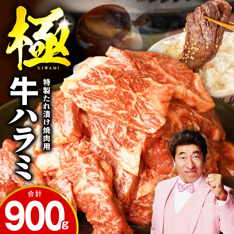  n~ 900g  300g×3PyXn×_ t  󂠂 s ē BBQ u߁z mrz0026{򍲖s9000