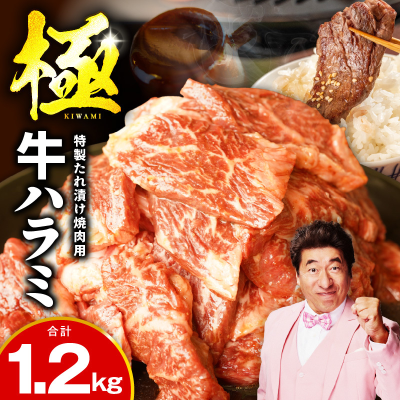 牛肉 ハラミ 1.2kg 小分け 300g×4P【氷温熟成×特製ダレ 味付き 牛肉 訳あり 不揃い 焼肉 BBQ 野菜炒め】 mrz0027大阪府泉佐野市11000肉牛肉