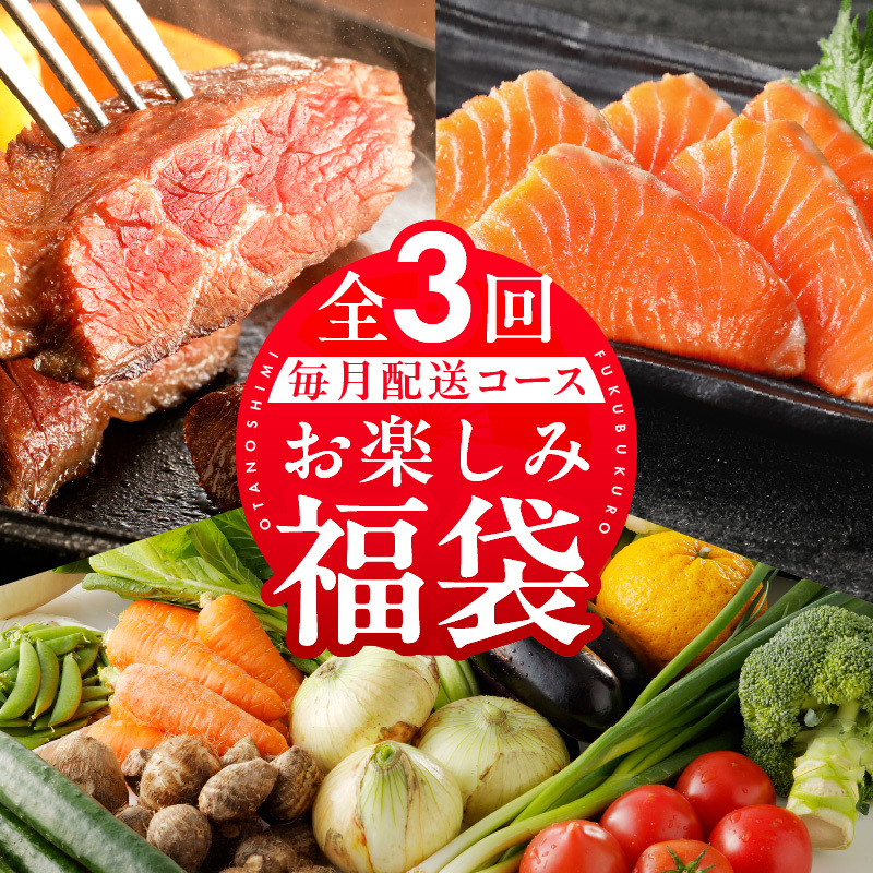 泉佐野お楽しみ福袋 定期便 全3回 牛肉 ステーキ 海鮮 サーモン 野菜【毎月発送コース】 099Z158大阪府泉佐野市30000肉牛肉