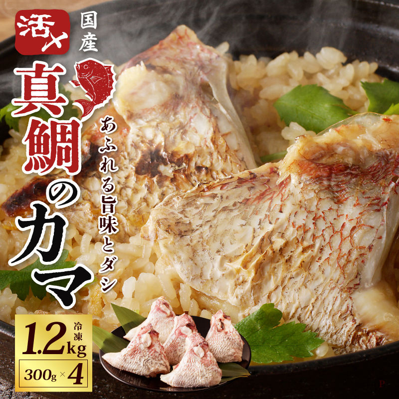 国産 活〆養殖 真鯛のカマ 合計1.2kg【小分け 300g×4P 訳あり サイズ不揃い 冷凍】 nbj0001 大阪府泉佐野市6000魚介・海産物その他 魚介・海産物