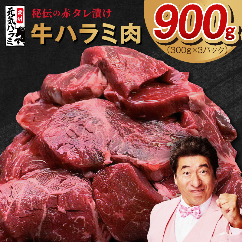 yTVŏЉIzn~ 900g `̐ԃ^Ђy 300g×3P  ēp Ă  BBQ ₫ɂz 010B1523{򍲖s10000
