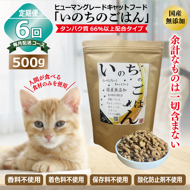 【定期便】国産無添加 キャットフード 500g×全6回「いのちのごはん」タンパク質 66%以上配合タイプ【猫 ねこ ペットフード チキン 手作り ヒューマングレード 国産 毎月配送】 099Z333大阪府