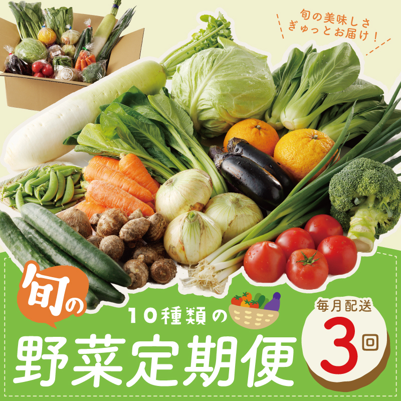 10種類の新鮮野菜 定期便 全3回 詰め合わせ 国産 冷蔵発送【毎月配送コース】 099Z184大阪府泉佐野市30000野菜・きのこその他 野菜