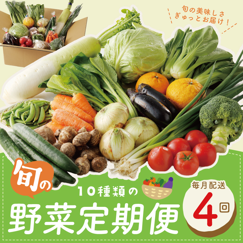 10種類の新鮮野菜 定期便 全4回 詰め合わせ 国産 冷蔵発送【毎月配送コース】 099Z185大阪府泉佐野市40000野菜・きのこその他 野菜