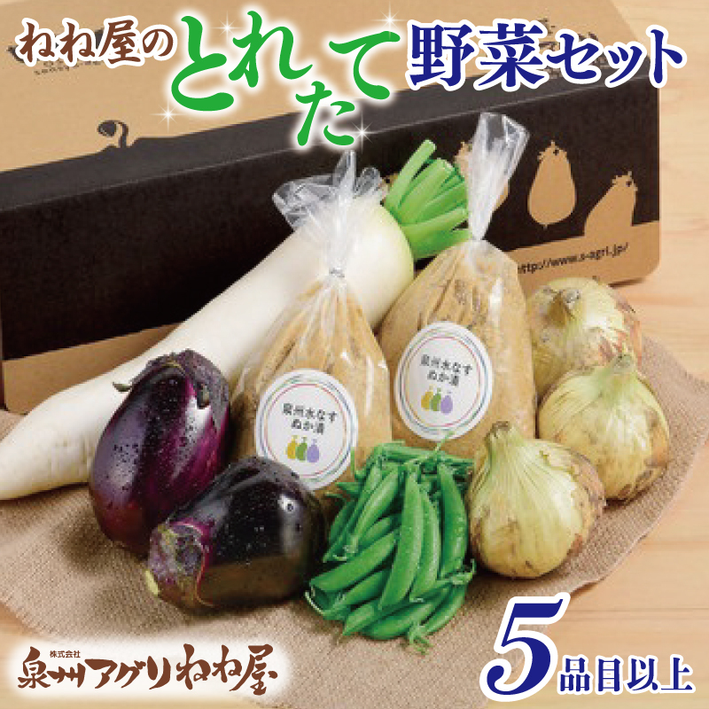 ねね屋のとれたて野菜セット 5品目以上 詰め合わせ 099H2857大阪府泉佐野市11000野菜・きのこその他 野菜