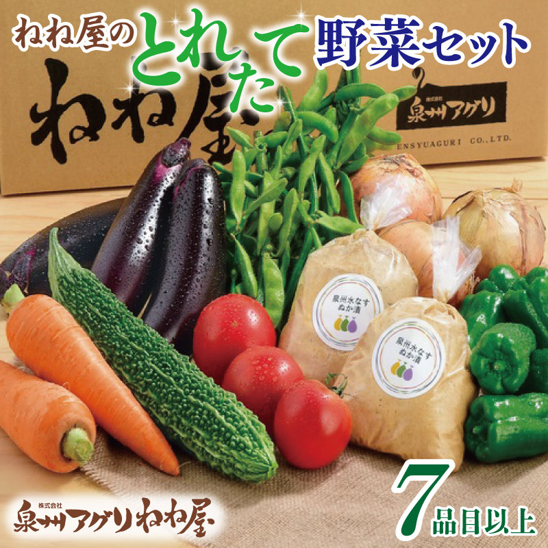 ねね屋のとれたて野菜セット 7品目以上 詰め合わせ 099H2858大阪府泉佐野市13000野菜・きのこその他 野菜