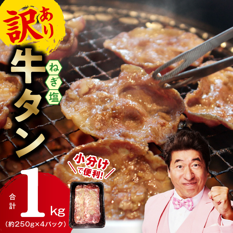 ねぎ塩 牛たん(成型)合計 1kg 小分け 250g×4【牛タン 牛肉 焼肉用 薄切り 訳あり サイズ不揃い】 010B1529大阪府泉佐野市9000肉牛肉