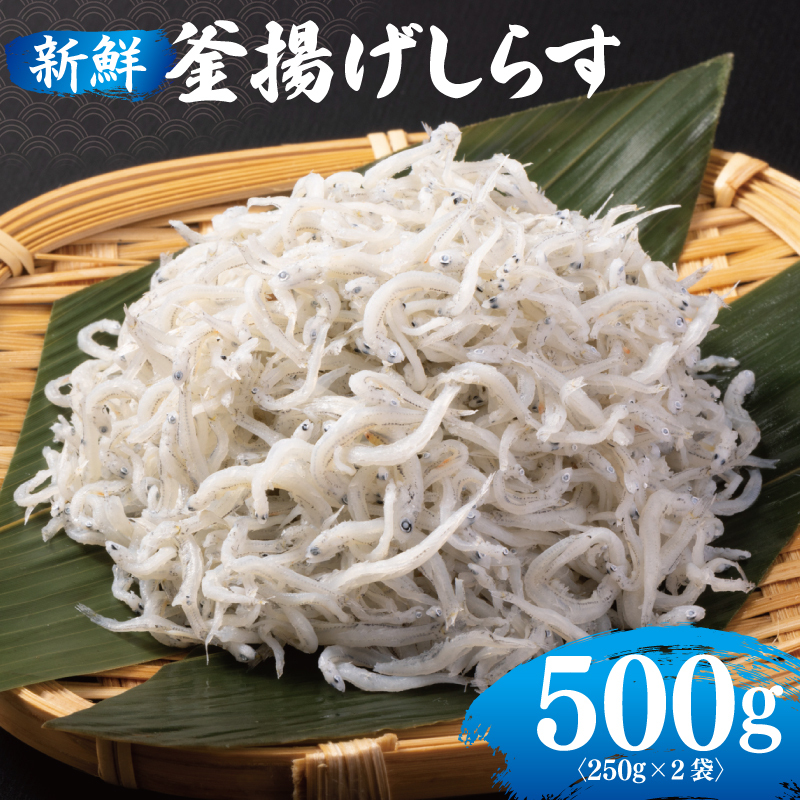 新鮮 釜揚げしらす 合計 500g 小分け 250g×2P 005A731 大阪府泉佐野市7000魚介・海産物その他 魚介・海産物