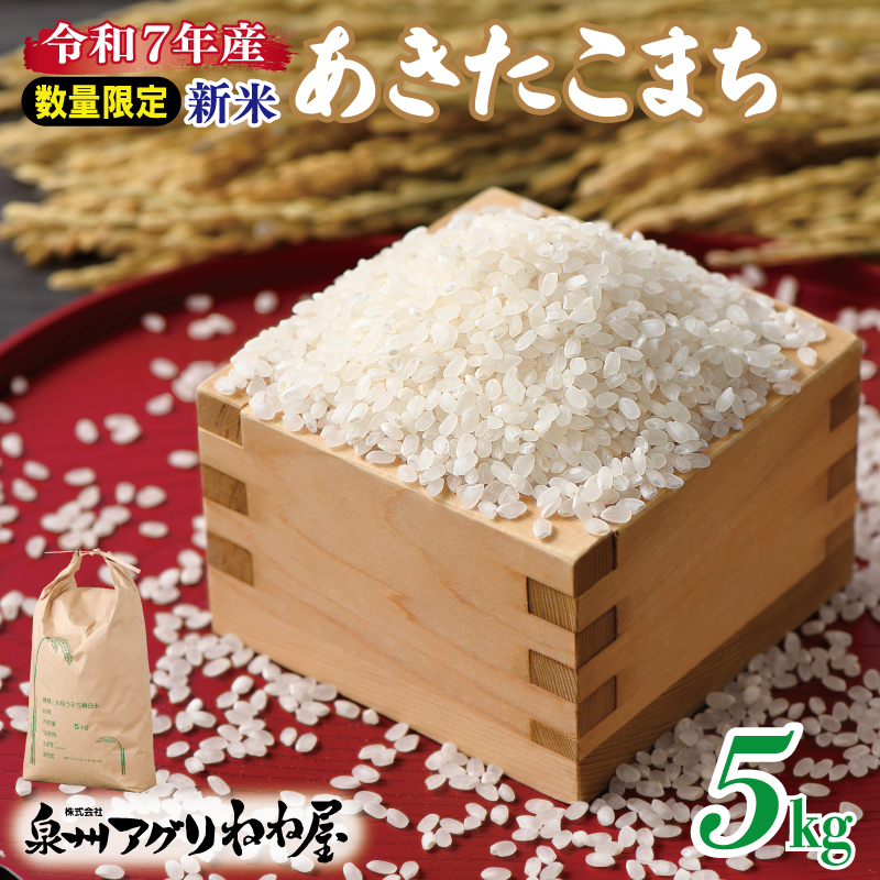 【数量限定】令和7年産 ねね屋の新米 『あきたこまち』 5kg 白米 お米 099H3929大阪府泉佐野市22000米・パン白米