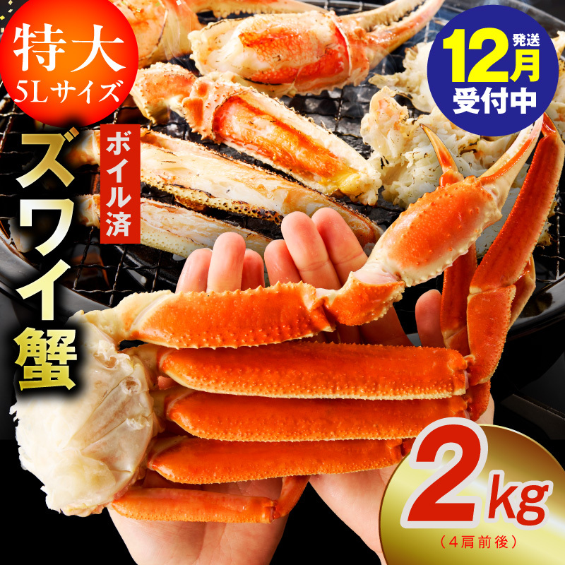 yNz{C킢I 2kg 5LTCY 4O zd kgp0024y{򍲖s20000ECYJj