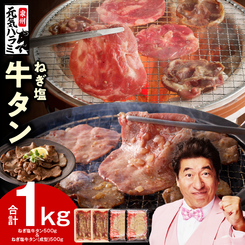 ねぎ塩 牛タン 食べ比べセット 合計 1kg(牛タン 500g/成型牛たん 500g)【焼肉用 焼くだけ 小分け BBQ やきにく】 010B1769大阪府泉佐野市11000肉牛肉