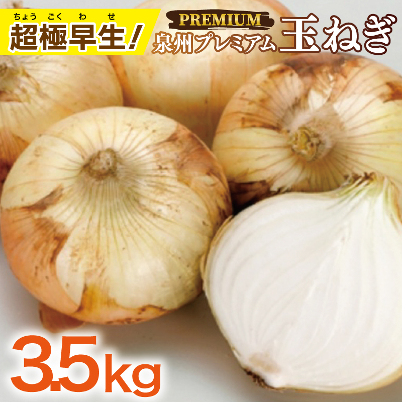 【先行予約】泉州たまねぎ 3.5kg【超極早生 玉ねぎ 農家直送 新鮮 野菜 やさい 期間限定】 005A737  大阪府泉佐野市7000野菜・きのこ玉ねぎ・ねぎ