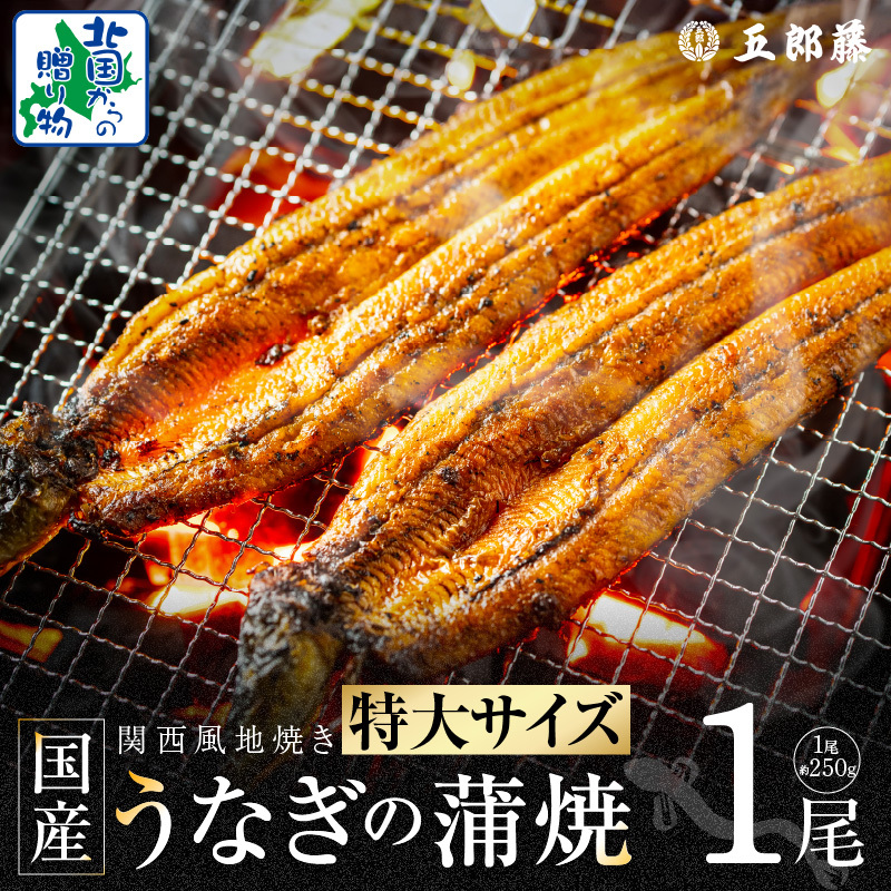 【ビッグサイズ】老舗五郎藤 国産 旨鰻 250g×1尾【関西風地焼き 特大 うなぎ ウナギ 蒲焼き 炭火 数量限定 有頭 北国からの贈り物 厳選】 099H3443大阪府泉佐野市11000魚介・海産物うなぎ