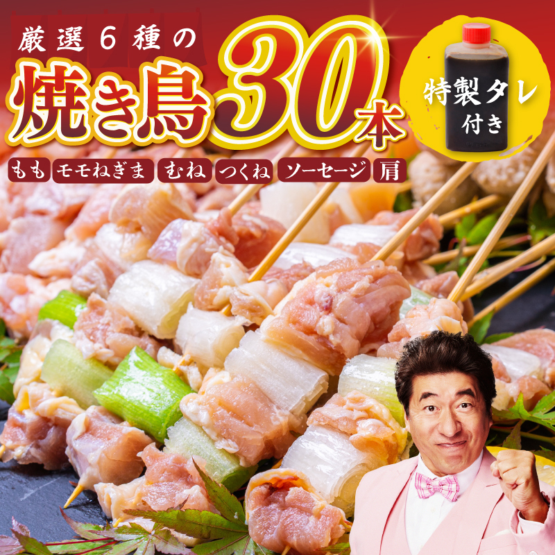 桜文 焼き鳥 6種30本セット やきとりのタレ付き 個包装 099H3403大阪府泉佐野市8000肉鶏肉