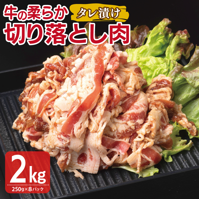  ؂藎Ƃ ^Ђ v2kgyt  Ă ȒP BBQ  250g×8܁z G3389{򍲖s18000
