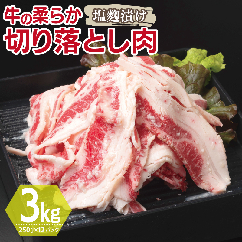 牛肉 切り落とし 塩麹漬け 合計3kg【味付け 小分け 焼くだけ 簡単調理 BBQ 牛肉 250g×12袋】 G3391大阪府泉佐野市26000肉牛肉