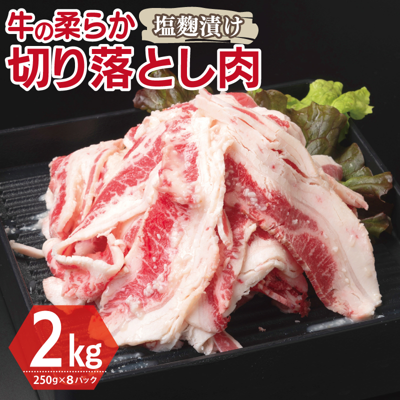  ؂藎Ƃ Ђ v2kgyt  Ă ȒP BBQ  250g×8܁z G3393{򍲖s18000