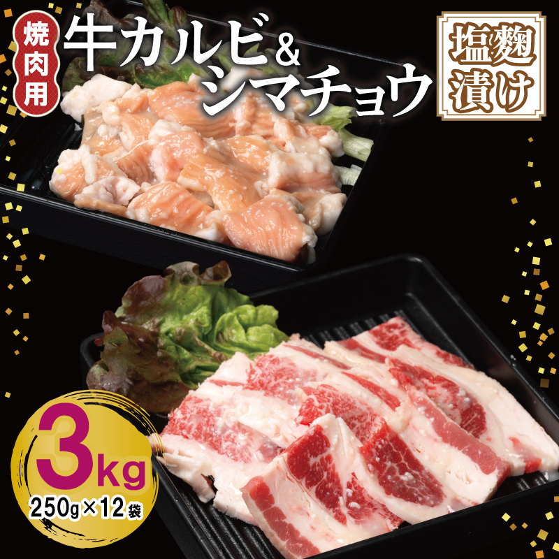 牛カルビ&シマチョウ 塩麹漬け 焼肉セット 合計3kg【味付け 小分け 焼くだけ 簡単調理 BBQ 250g×12袋 牛肉 ホルモン】 G3400大阪府泉佐野市21000肉牛肉