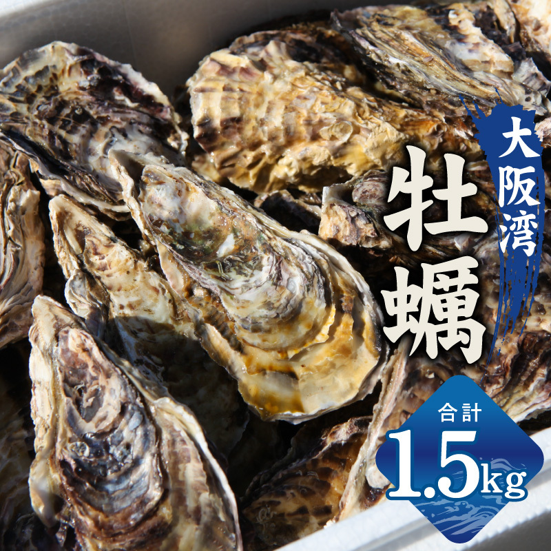 【先行予約】大阪湾牡蠣カンカン焼きセット 1.5kg G2186大阪府泉佐野市15000魚介・海産物貝類