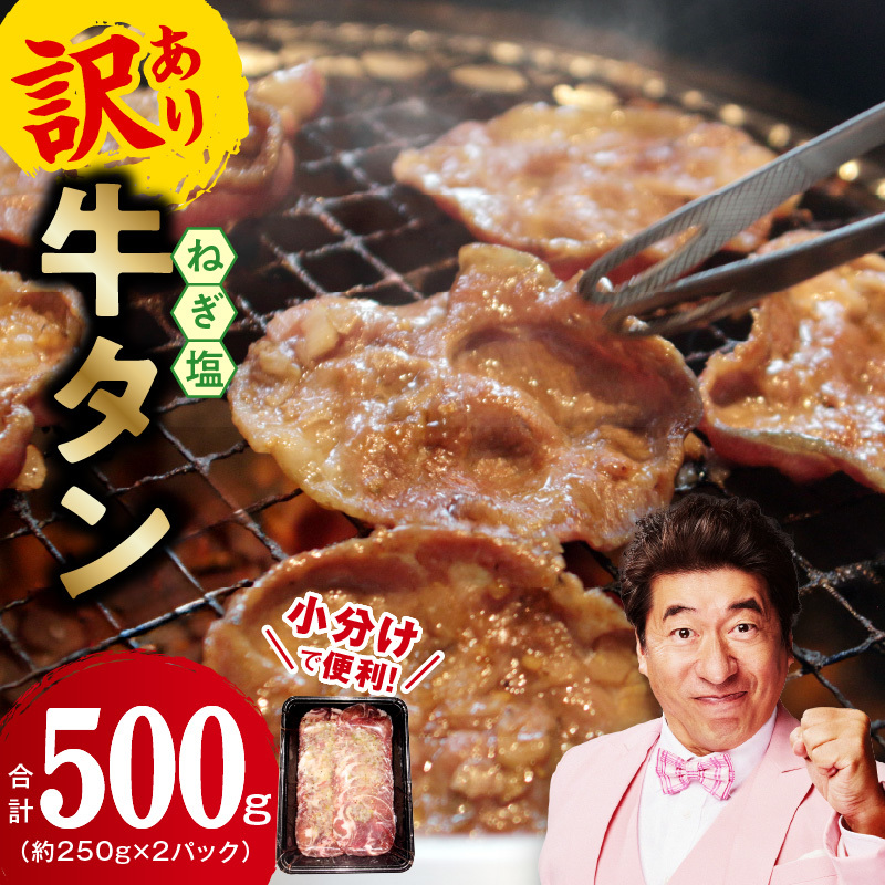 ねぎ塩 牛たん お試し 500g【小分け 250g×2 成型 牛タン 牛肉 焼肉用 薄切り 訳あり サイズ不揃い】 005A680大阪府泉佐野市6000肉牛肉