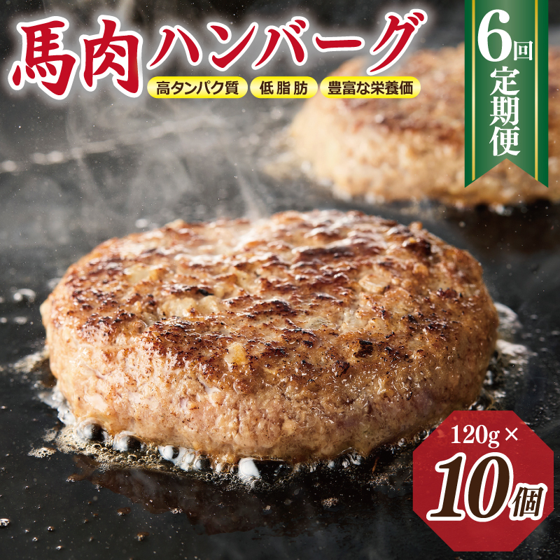 【定期便】 桜文 馬肉ハンバーグ 120g×10個 全6回 【毎月配送コース】 099Z318大阪府泉佐野市42000肉ジビエ