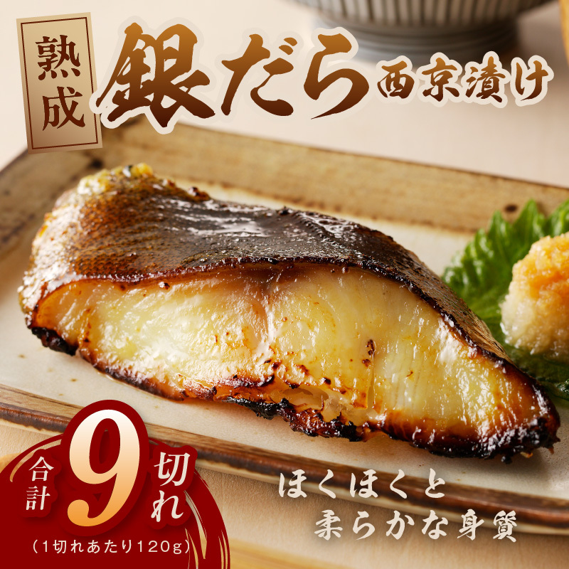 銀鱈 西京漬け 120g×9切れ【厚切り 小分け 熟成 銀だら ぎんだら ギンダラ 海産物 魚 惣菜 西京焼き 味噌 お酒のあて 訳あり サイズ不揃い 家計応援 切り落とし】 kgp0081大阪府泉佐野市13000魚