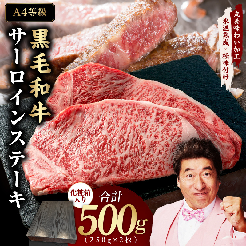 【A4ランク】黒毛和牛 サーロインステーキ 500g 化粧箱入り【氷温熟成×極味付け 250g×2 牛肉 ギフト プレゼント 贈り物】 mrz0139大阪府泉佐野市17000肉牛肉