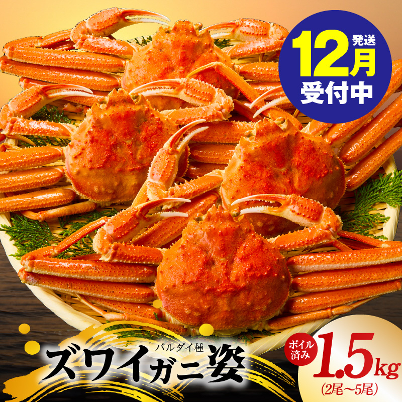 yNzo_C YCKjp 1.5kgi2`5jy󂠂Ki {Cς IIYCKj  Jj I YCKj t@~[z kgp0086y{򍲖s11000ECYJj