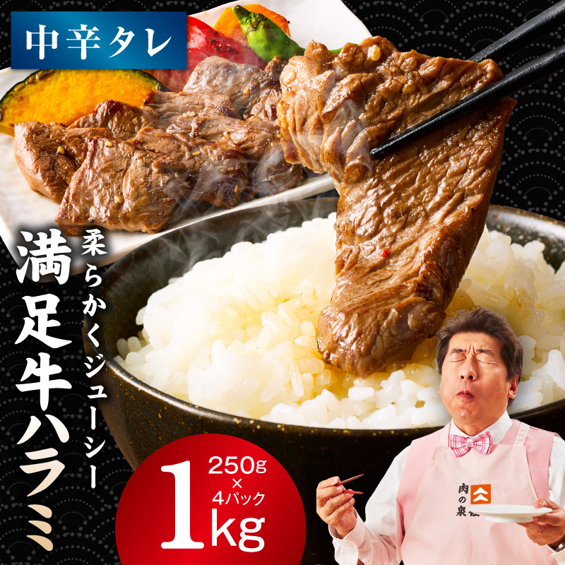 【満足牛ハラミ】中辛タレ漬け 合計1kg 【味付け ハラミ 小分け 焼くだけ 簡単調理 BBQ 牛肉 250g×4P】 G3357大阪府泉佐野市11000肉牛肉