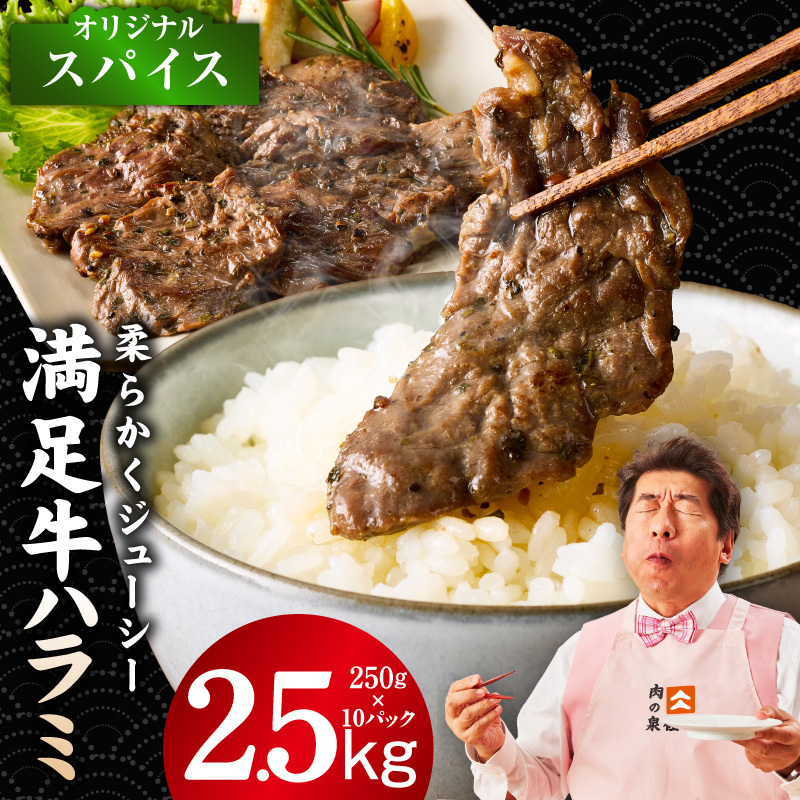 【満足牛ハラミ】オリジナルスパイス仕込み 合計2.5kg 【味付け ハラミ 小分け 焼くだけ 簡単調理 BBQ 牛肉 250g×10P】 G3407大阪府泉佐野市23000肉牛肉
