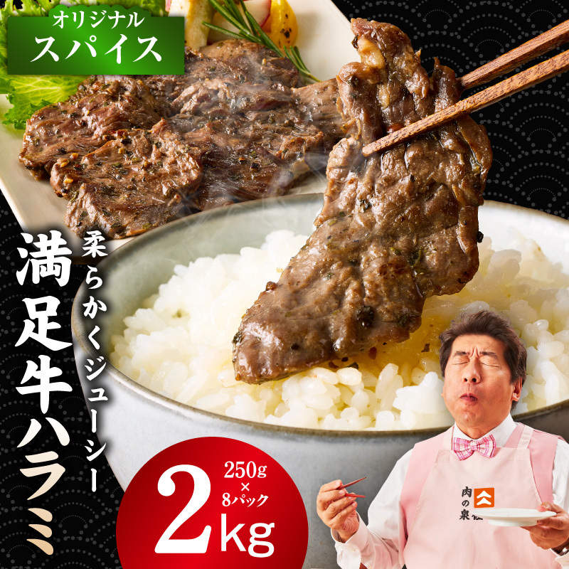 【満足牛ハラミ】オリジナルスパイス仕込み 合計2kg 【味付け ハラミ 小分け 焼くだけ 簡単調理 BBQ 牛肉 250g×8P】 G3408大阪府泉佐野市19000肉牛肉