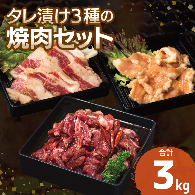 【タレ漬け3種の牛焼肉セット】 満足牛ハラミ・牛カルビ・シマチョウ 合計3kg【味付け ハラミ 小分け 焼くだけ 簡単調理 BBQ 牛肉 250g×各4P】 G3417大阪府泉佐野市26000肉牛肉