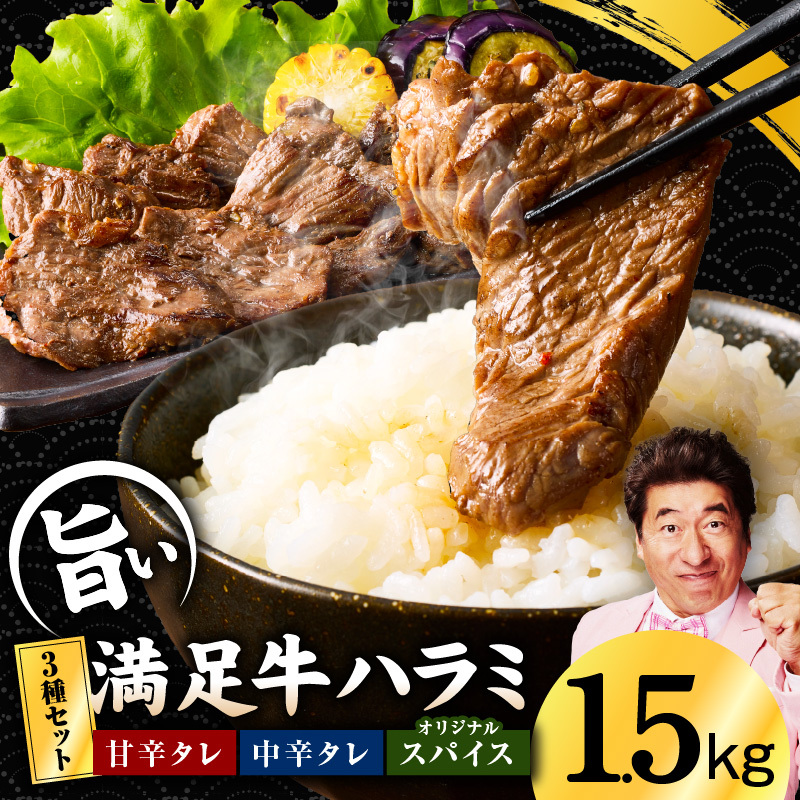 【満足牛ハラミ】3種セット (甘辛タレ漬け・中辛タレ漬け・オリジナルスパイス仕込み) 合計1.5kg 【味付け ハラミ 小分け 焼くだけ 簡単調理 BBQ 牛肉 250g×6P】 G3364大阪府泉佐野市15000肉牛