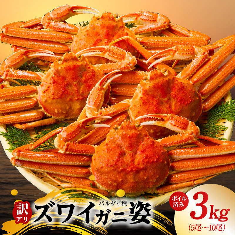 【訳あり規格】バルダイ種 ズワイガニ姿 3kg(5〜10尾)【ボイル済み オオズワイガニ かに カニ 蟹 ズワイガニ ファミリー向け】 kgp0104大阪府泉佐野市20000魚介・海産物カニ