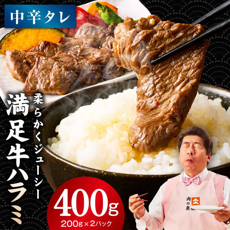 yn~zh^Ђ 400gyt n~  Ă ȒP BBQ  200g×2Pz G3447{򍲖s5000
