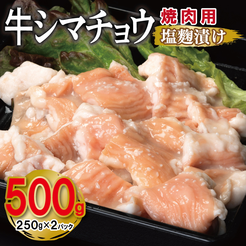 V}`E ēp Ђ 500gyt  250g×2P Ă ȒP BBQ  z z G3450{򍲖s4500