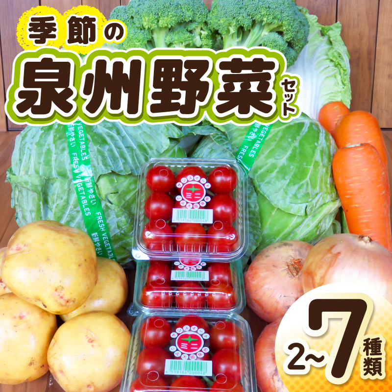 季節の野菜セット 2〜7種類【国産 新鮮 おまかせ 詰め合わせ】 G3452大阪府泉佐野市7000野菜・きのこその他 野菜