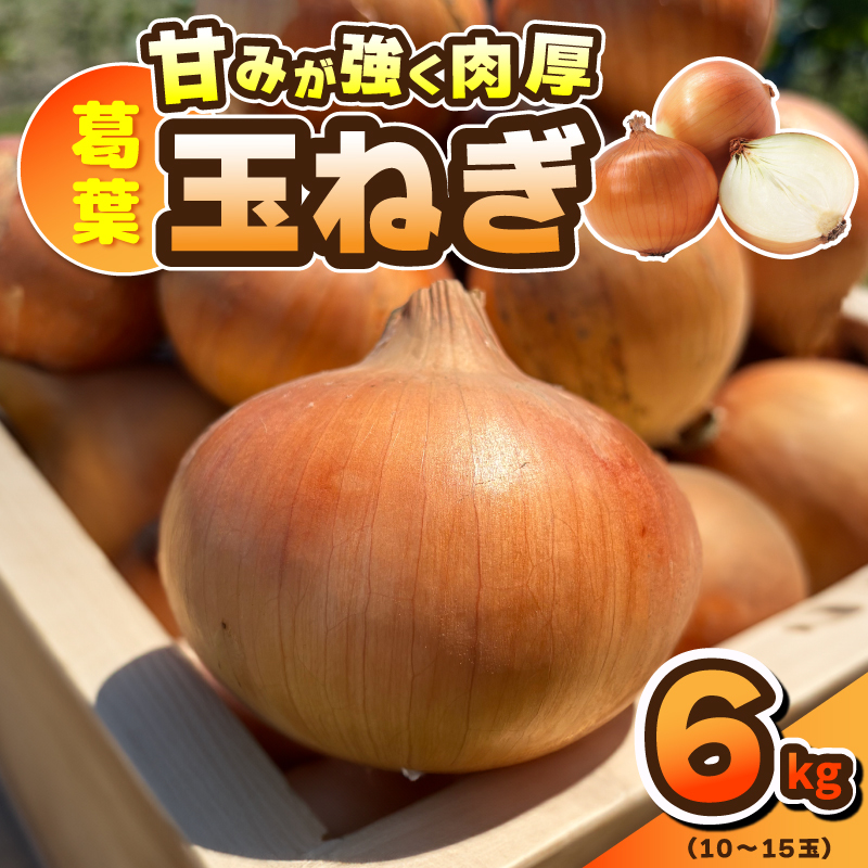 【先行予約】葛葉玉ねぎ 6kg(10〜15玉) 010B1773大阪府泉佐野市11000野菜・きのこ玉ねぎ・ねぎ