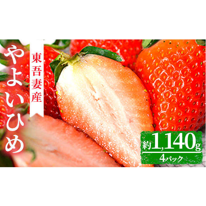 ȎY@u悢Ђ߁v ꔠ4pbNZbg ʕ  C`S QnȒ29000ʕEt[c