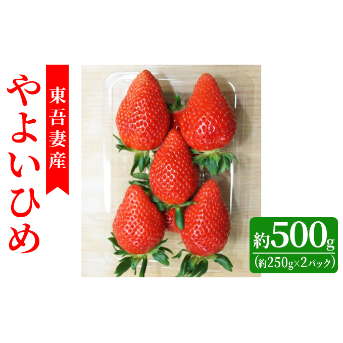 【東吾妻町産】いちご やよいひめ 約250g×2パック 果物 ストロベリー フルーツ デザート 甘味が強い 酸味まろやか 国産 直送 産地直送 おやつ 少しやわらか 口当たりが良い 群馬県東吾妻町