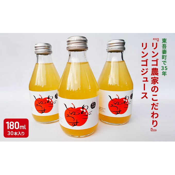 東吾妻町で35年『リンゴ農家のこだわり』リンゴジュース(30本) 飲料類 果汁飲料 飲み物 アップルジュース 贈り物 完熟りんご ふじりんご使用 お中元 群馬県東吾妻町24000お茶・飲料果汁・