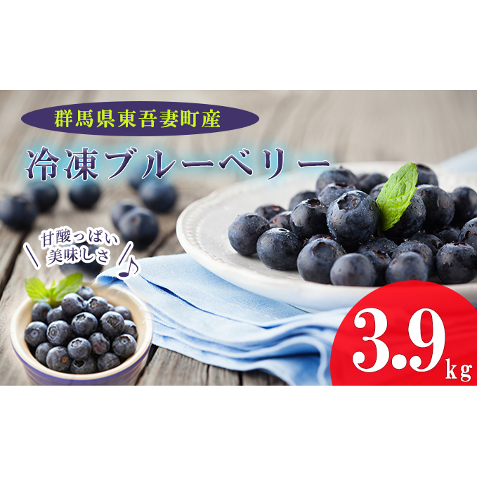 【東吾妻産】冷凍ブルーベリー 約3.9kg フルーツ 果物 冷凍フルーツ 国産 完熟ブルーベリー 大粒 そのまま スムージー トッピング 群馬県東吾妻町57000果物・フルーツその他 果物・フルーツ