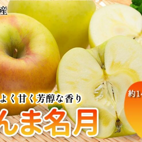 東吾妻町産 りんご ぐんま名月 5kg(14個から16個)リンゴ アップル 果物類 フルーツ 果物 果汁豊富 群馬県東吾妻町25000果物・フルーツりんご・梨